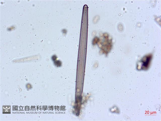 登錄號:A00004547藏品圖，第7張