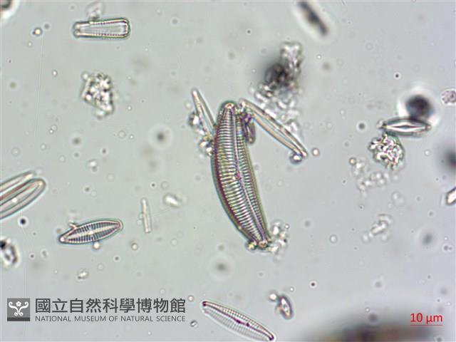 登錄號:A00004607藏品圖，第7張