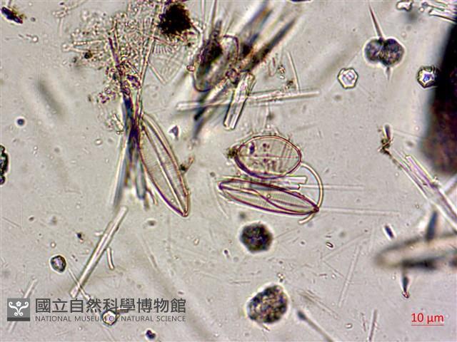 登錄號:A00004587藏品圖，第7張
