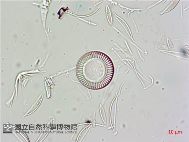 登錄號:A00004675藏品圖，第7張