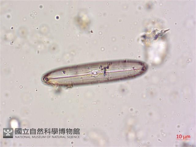 登錄號:A00004605藏品圖，第7張