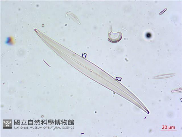 登錄號:A00004631藏品圖，第7張