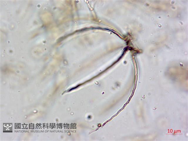 登錄號:A00004651藏品圖，第7張