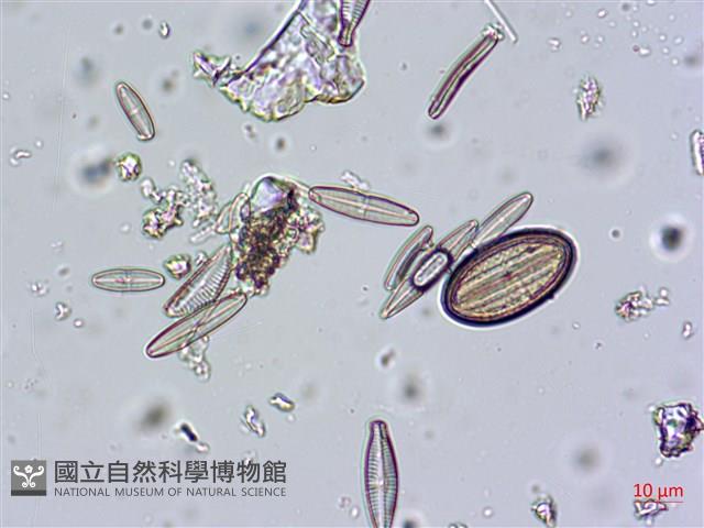 登錄號:A00004671藏品圖，第8張