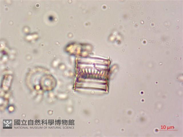 登錄號:A00004611藏品圖，第7張