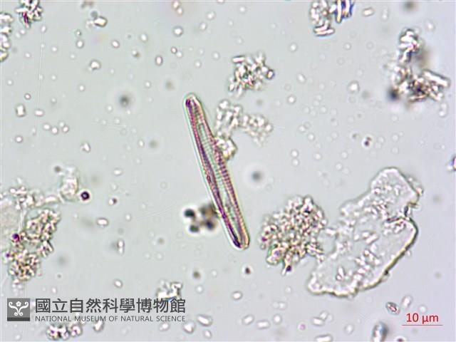 登錄號:A00004661藏品圖，第8張