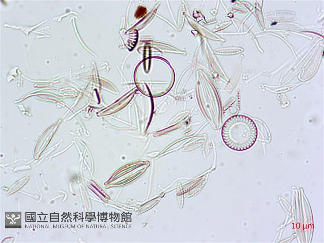 登錄號:A00004630藏品圖，第7張