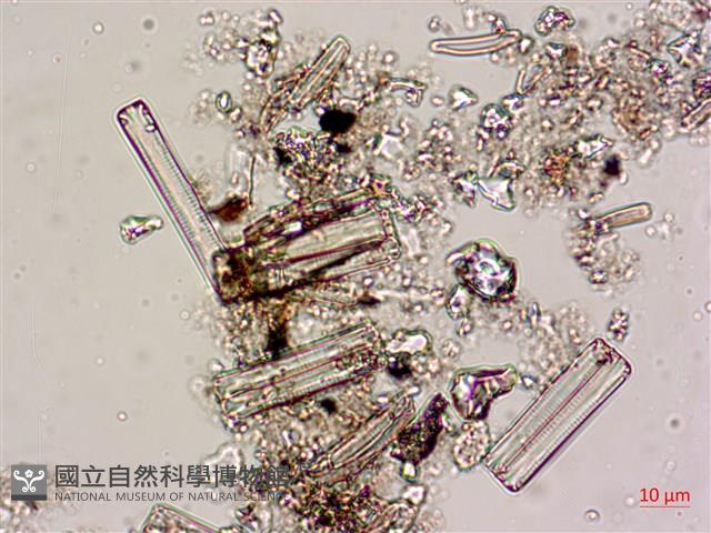 登錄號:A00004620藏品圖，第8張