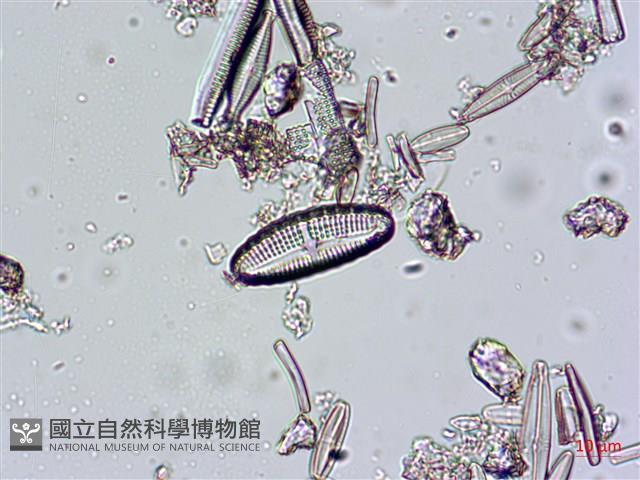 登錄號:A00004670藏品圖，第8張