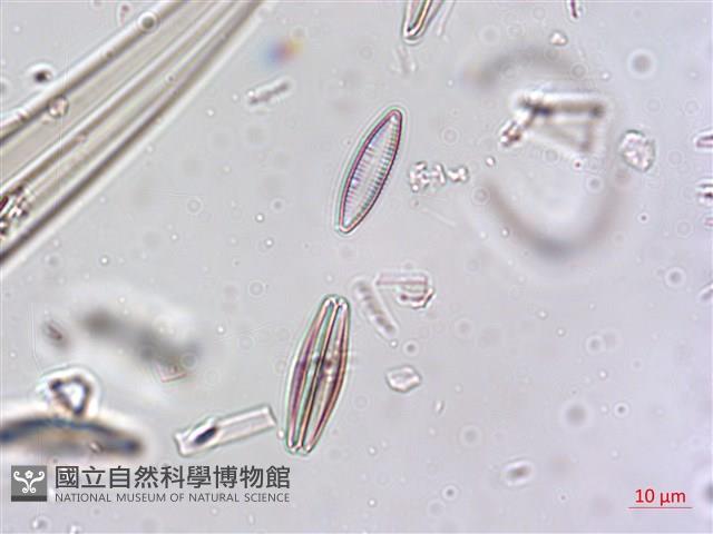 登錄號:A00004640藏品圖，第8張