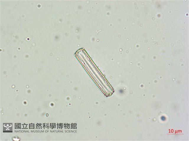 登錄號:A00004600藏品圖，第7張