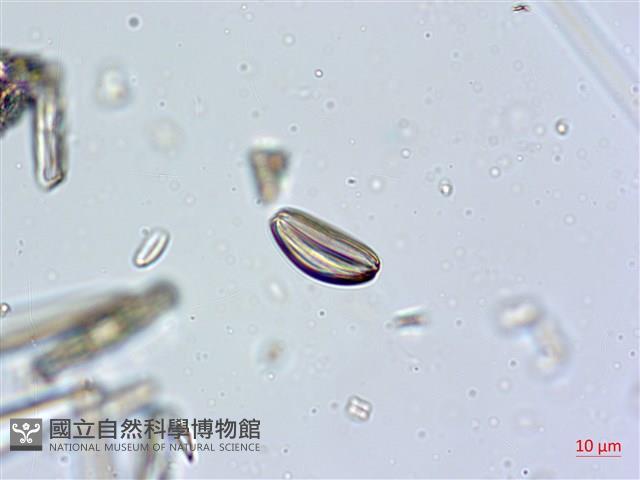 登錄號:A00004633藏品圖，第7張