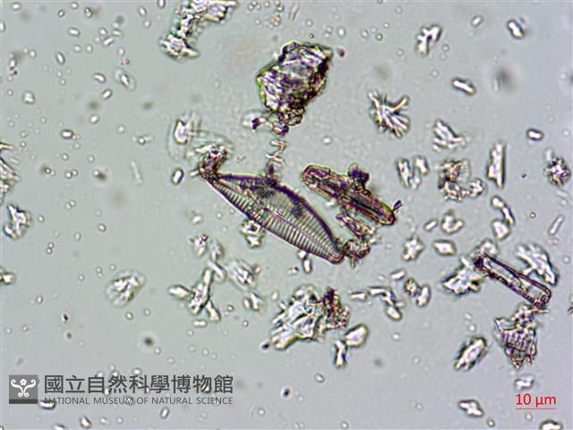 登錄號:A00004673藏品圖，第7張