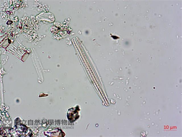 登錄號:A00004603藏品圖，第7張