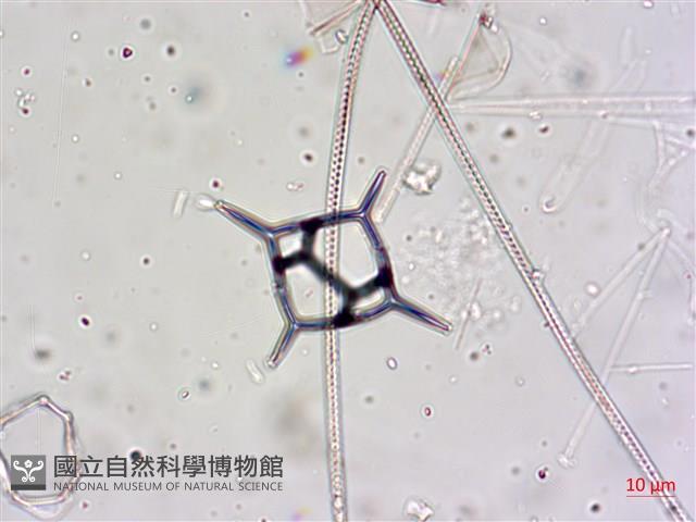 登錄號:A00004654藏品圖，第17張