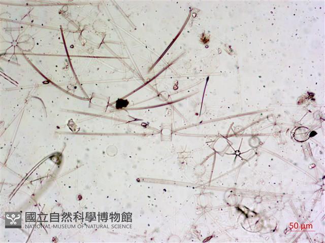 登錄號:A00004655藏品圖，第16張