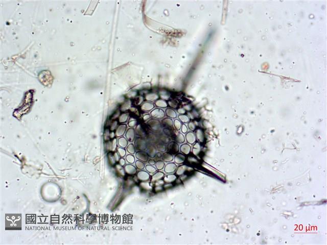 登錄號:A00004653藏品圖，第17張