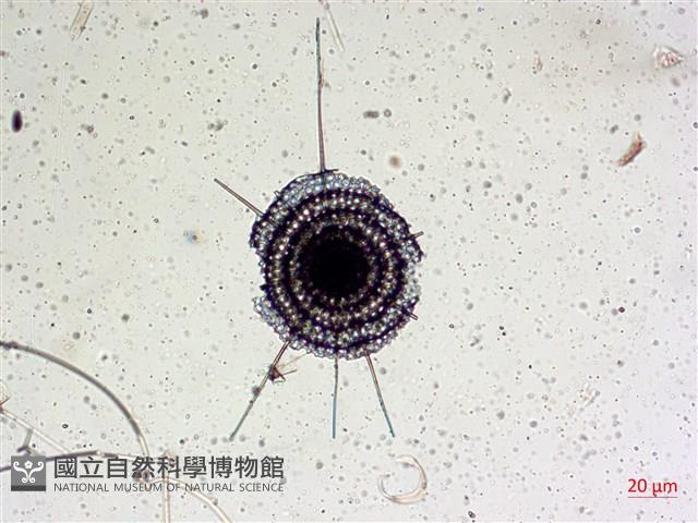 館號:A00004642藏品圖，第48張