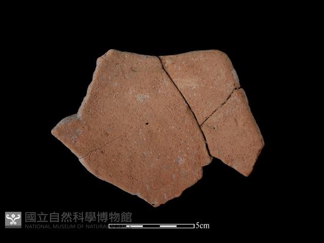 陶片藏品圖，第2張