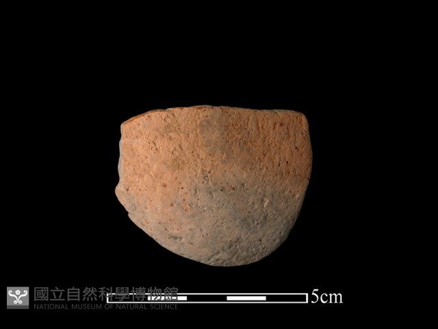 陶片藏品圖，第2張