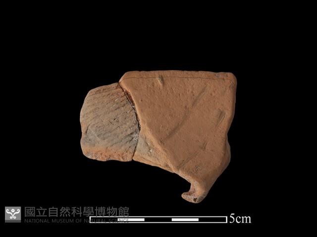 連杯形器藏品圖，第1張