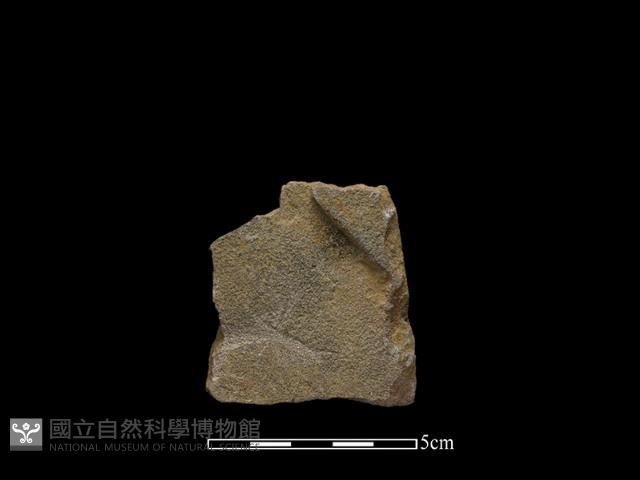 斧鋤形器藏品圖，第1張