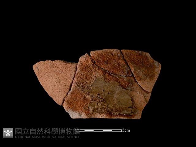 陶罐藏品圖，第2張