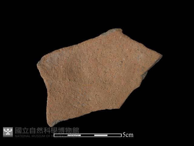 陶片藏品圖，第2張