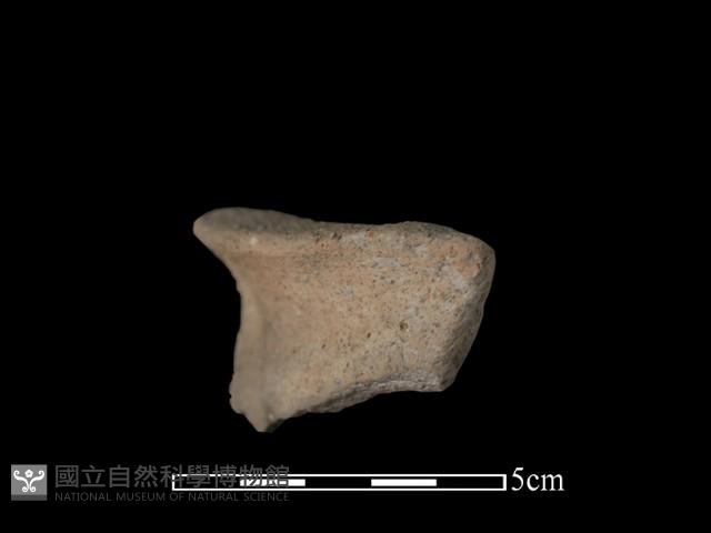 陶罐藏品圖，第1張