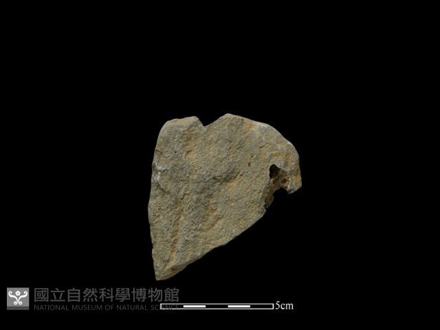 斧鋤形器藏品圖，第2張