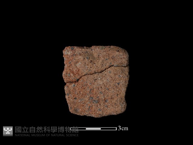 陶片藏品圖，第2張