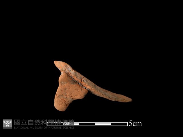 連杯形器藏品圖，第1張