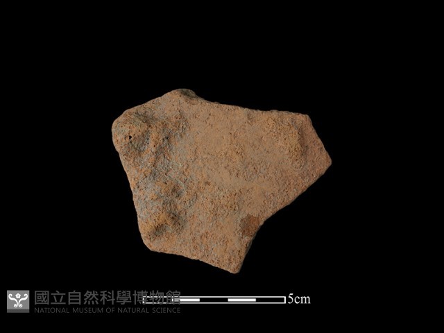 陶片藏品圖，第1張