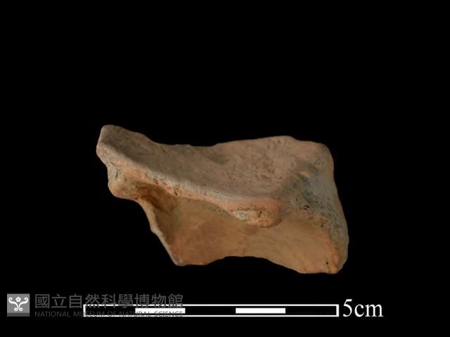 連杯形器藏品圖，第1張