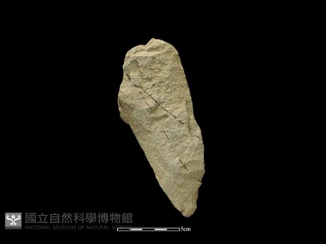 斧鋤形器藏品圖，第2張