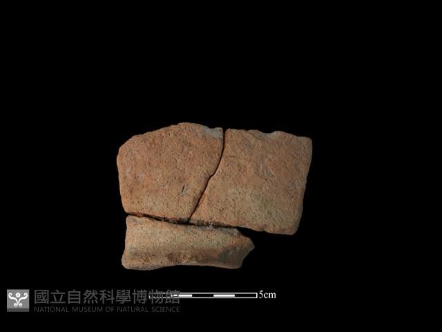 陶罐藏品圖，第1張