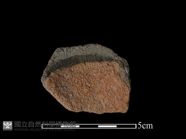 陶片藏品圖，第1張