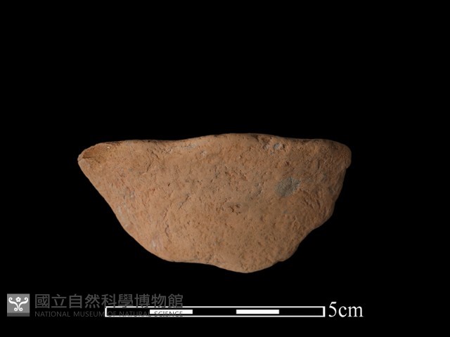 陶片藏品圖，第2張
