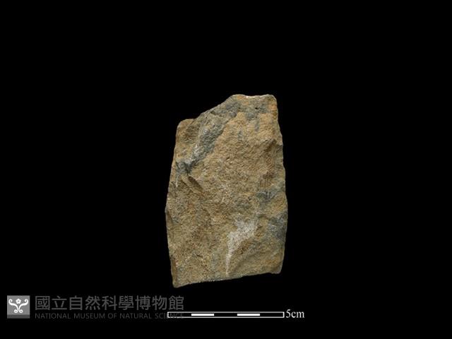 斧鋤形器藏品圖，第2張