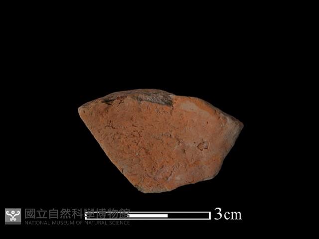 陶片藏品圖，第1張