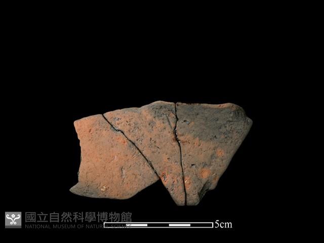 連杯形器藏品圖，第2張