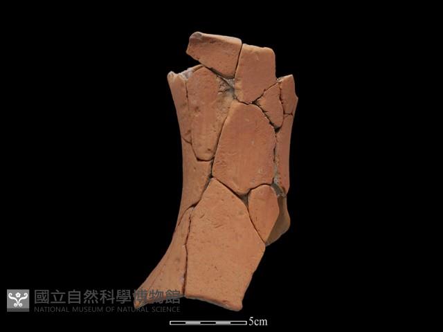 豆形器藏品圖，第1張