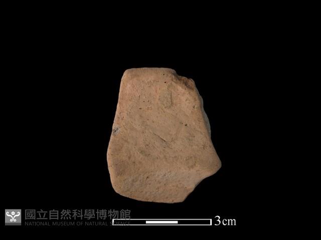 陶罐藏品圖，第1張