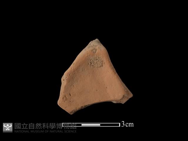 連杯形器藏品圖，第2張