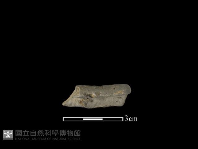 陶片藏品圖，第2張