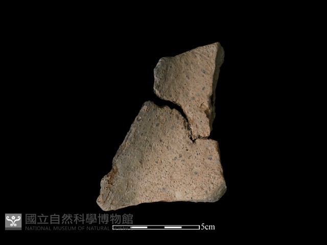 陶片藏品圖，第1張
