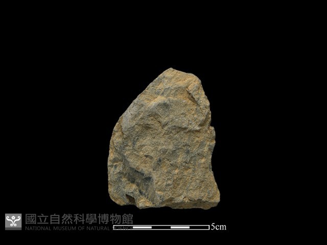斧鋤形器藏品圖，第1張