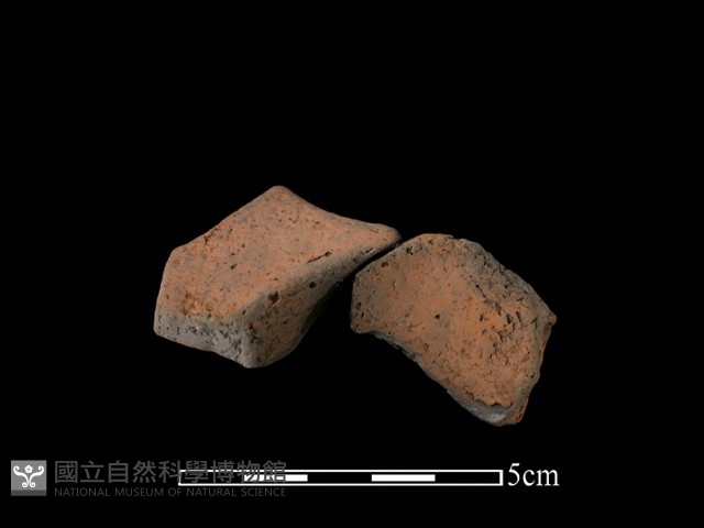 連杯形器藏品圖，第1張