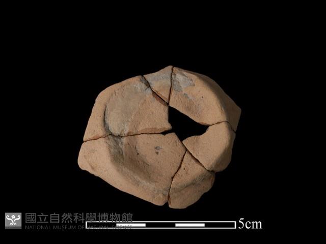 豆形器藏品圖，第2張