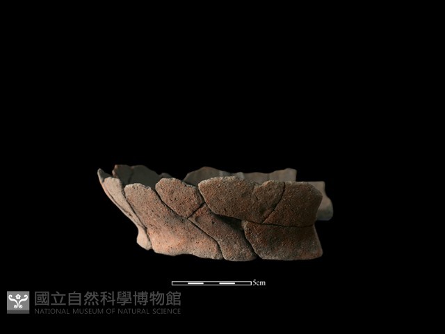陶罐藏品圖，第3張